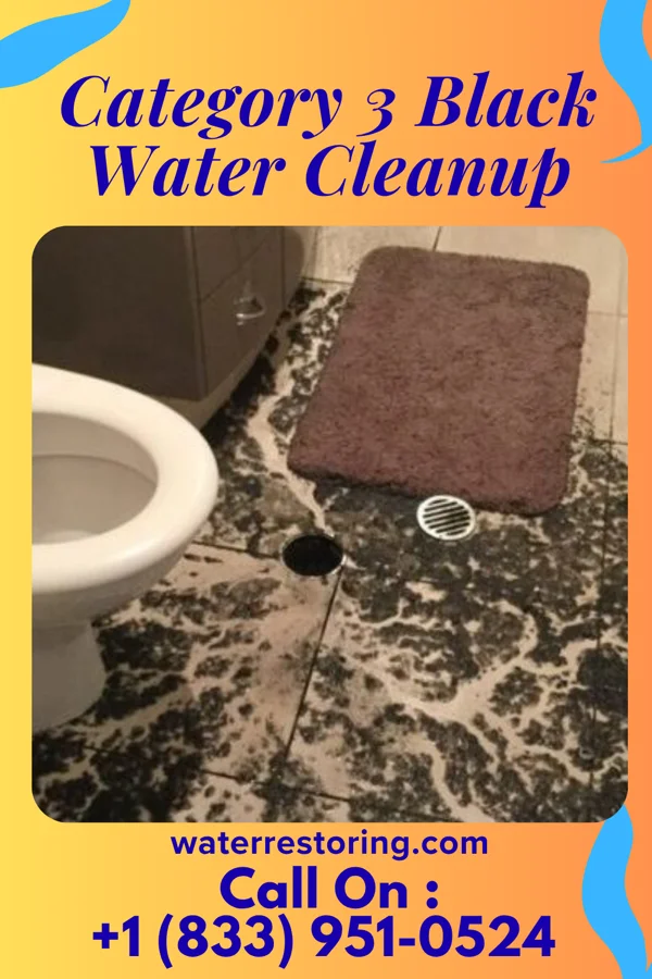 Category 3 Black Water Cleanup in Hindman, KY