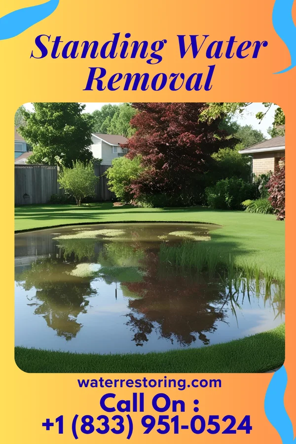 Standing Water Removal in Hindman, KY